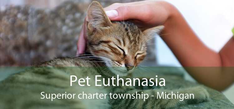 Pet Euthanasia Superior charter township - Michigan