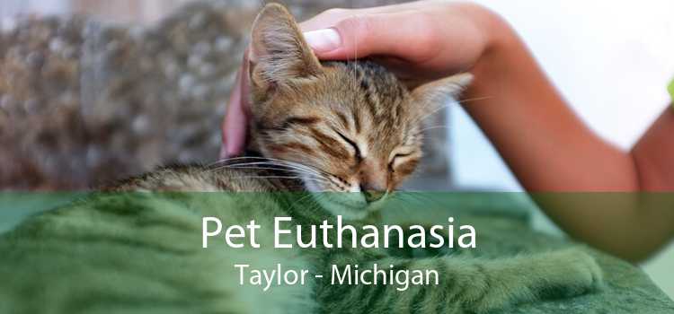 Pet Euthanasia Taylor - Michigan