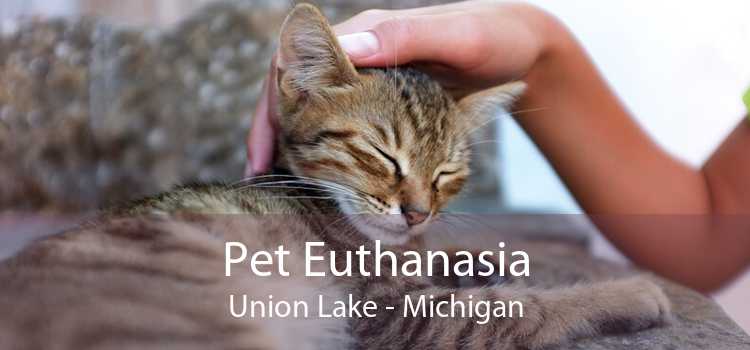 Pet Euthanasia Union Lake - Michigan