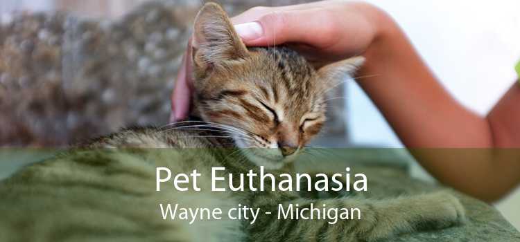 Pet Euthanasia Wayne city - Michigan
