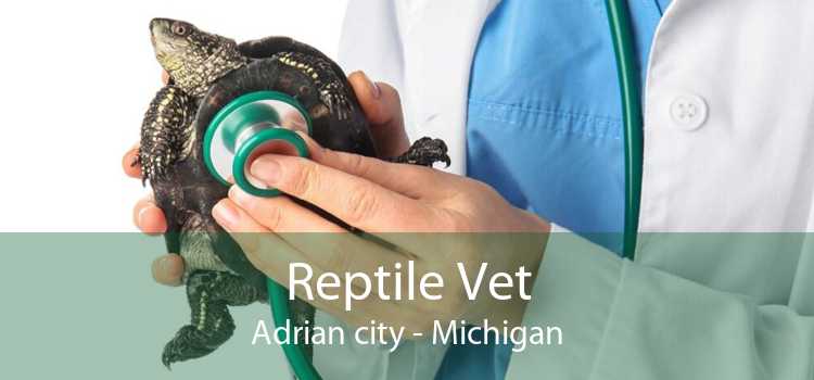 Reptile Vet Adrian city - Michigan