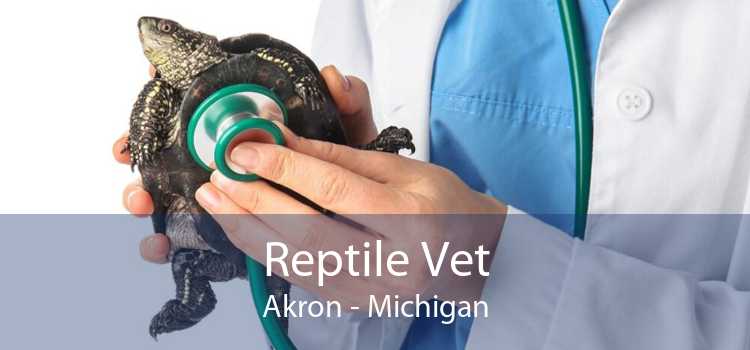 Reptile Vet Akron - Michigan