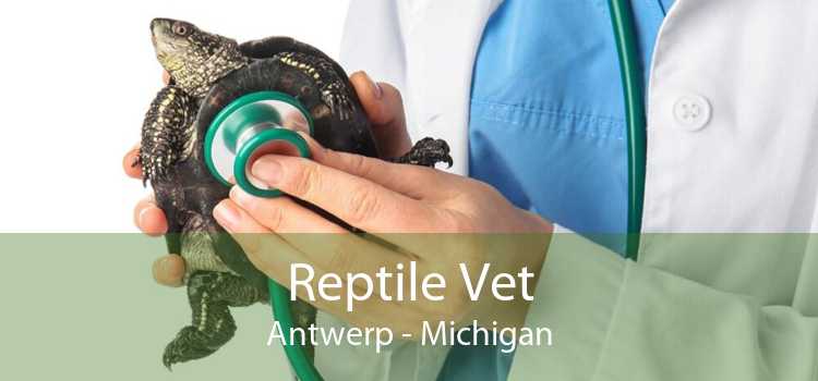 Reptile Vet Antwerp - Michigan