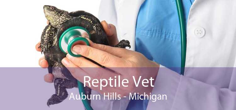 Reptile Vet Auburn Hills - Michigan