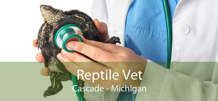 Reptile Vet Cascade - Michigan