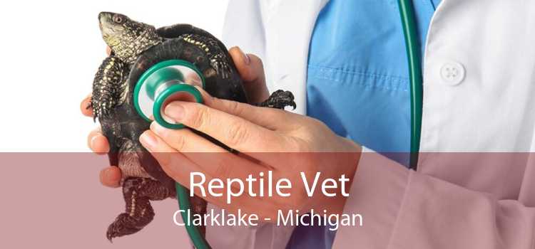 Reptile Vet Clarklake - Michigan