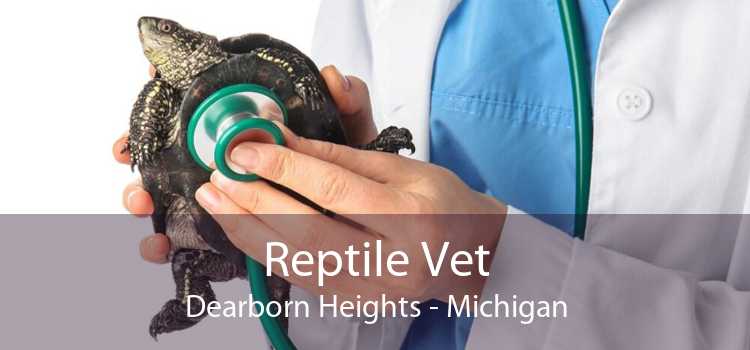 Reptile Vet Dearborn Heights - Michigan