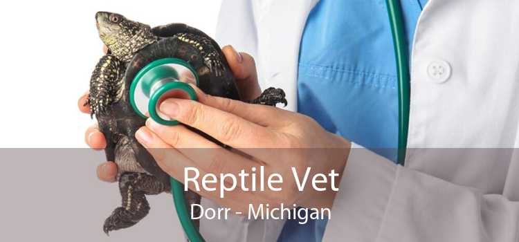 Reptile Vet Dorr - Michigan