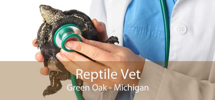 Reptile Vet Green Oak - Michigan