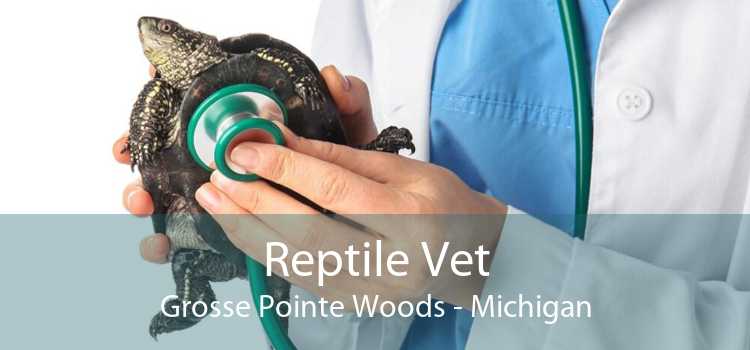 Reptile Vet Grosse Pointe Woods - Michigan