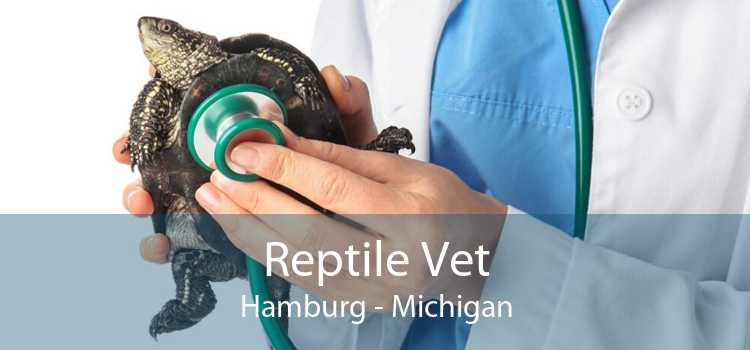 Reptile Vet Hamburg - Michigan