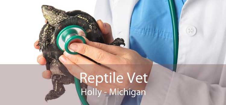 Reptile Vet Holly - Michigan