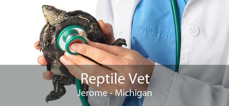 Reptile Vet Jerome - Michigan