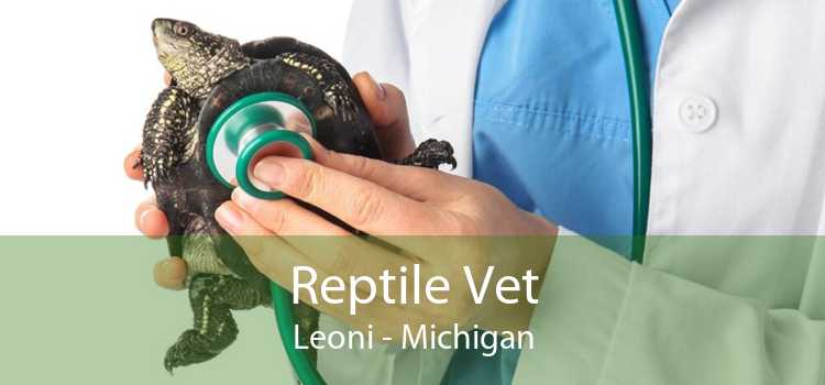 Reptile Vet Leoni - Michigan