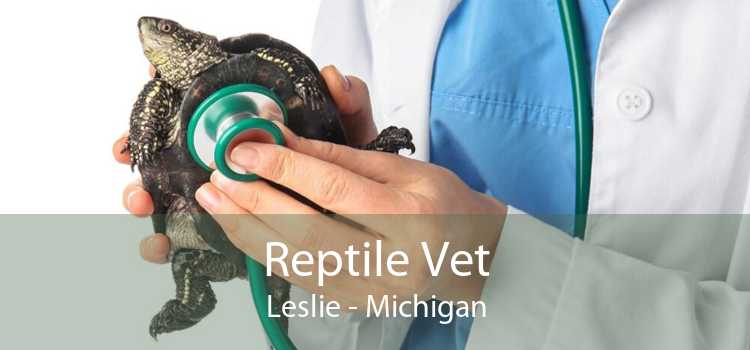 Reptile Vet Leslie - Michigan