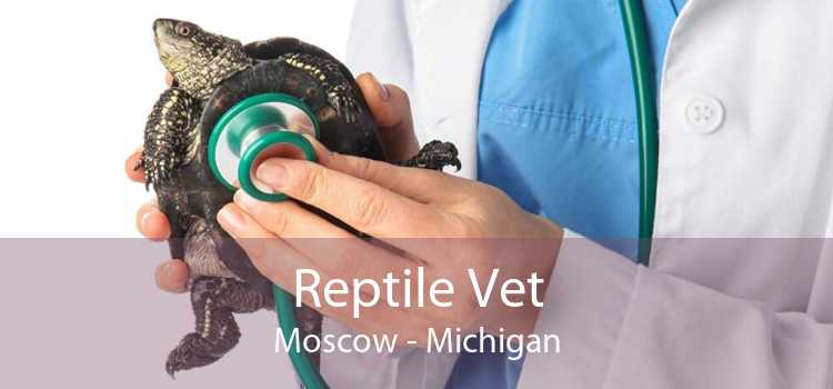 Reptile Vet Moscow - Michigan