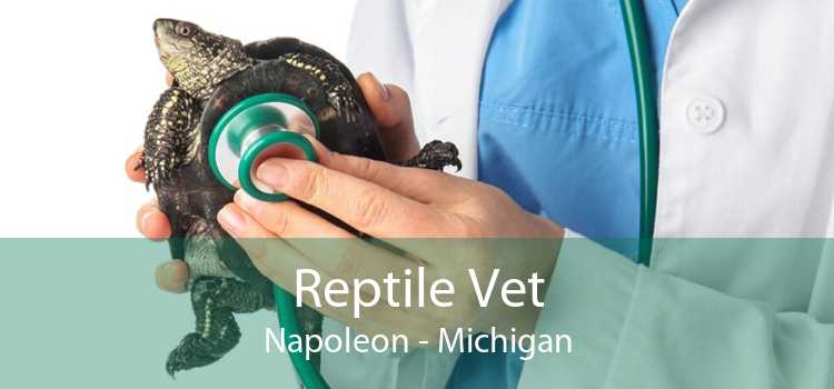 Reptile Vet Napoleon - Michigan