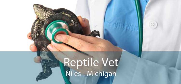 Reptile Vet Niles - Michigan