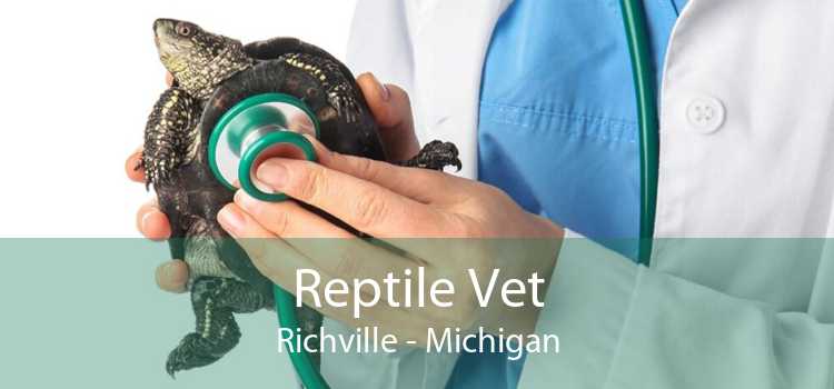 Reptile Vet Richville - Michigan