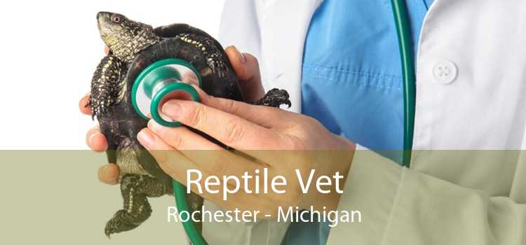 Reptile Vet Rochester - Michigan