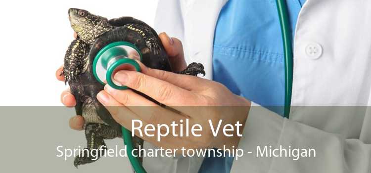 Reptile Vet Springfield charter township - Michigan