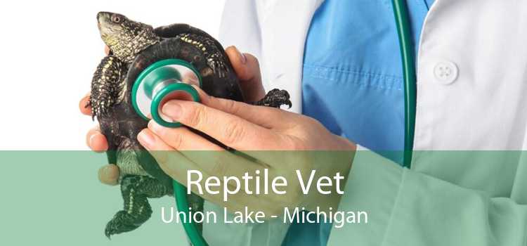 Reptile Vet Union Lake - Michigan