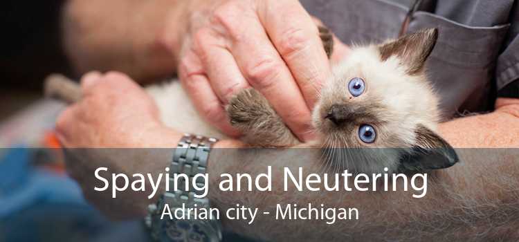 Spaying and Neutering Adrian city - Michigan