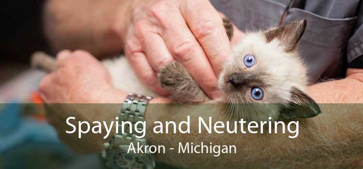 Spaying and Neutering Akron - Michigan