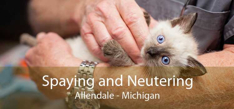 Spaying and Neutering Allendale - Michigan