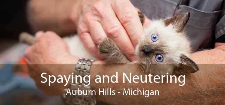 Spaying and Neutering Auburn Hills - Michigan