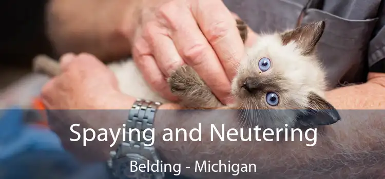 Spaying and Neutering Belding - Michigan
