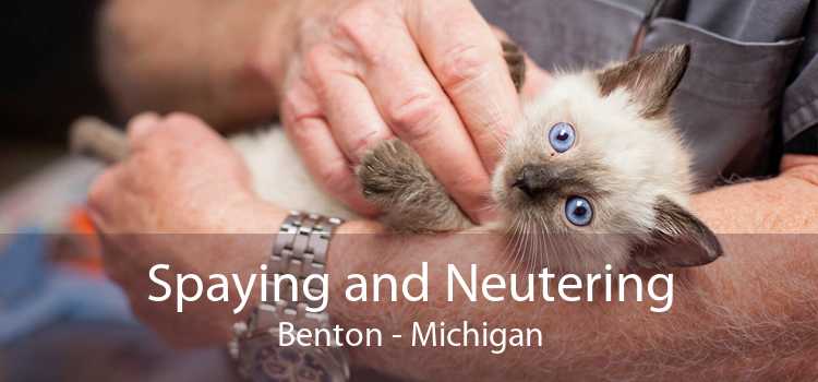 Spaying and Neutering Benton - Michigan