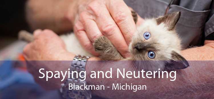 Spaying and Neutering Blackman - Michigan