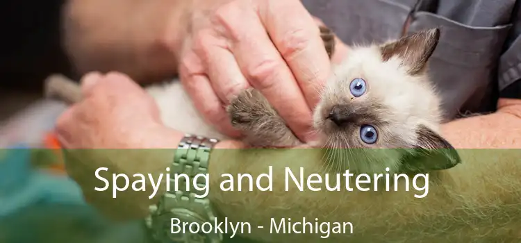 Spaying and Neutering Brooklyn - Michigan