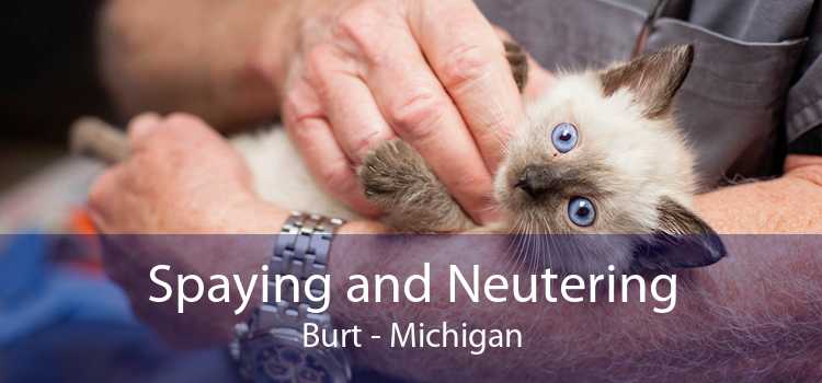 Spaying and Neutering Burt - Michigan