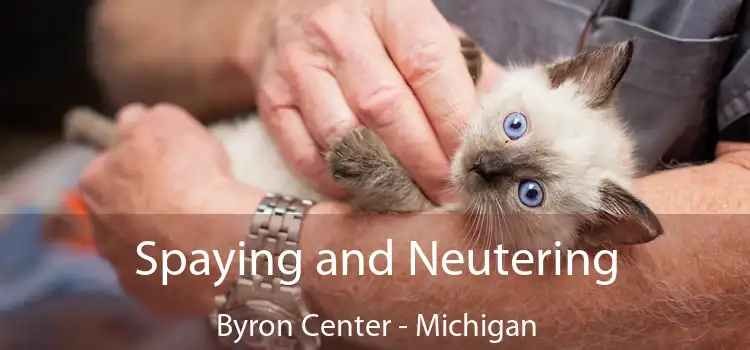 Spaying and Neutering Byron Center - Michigan
