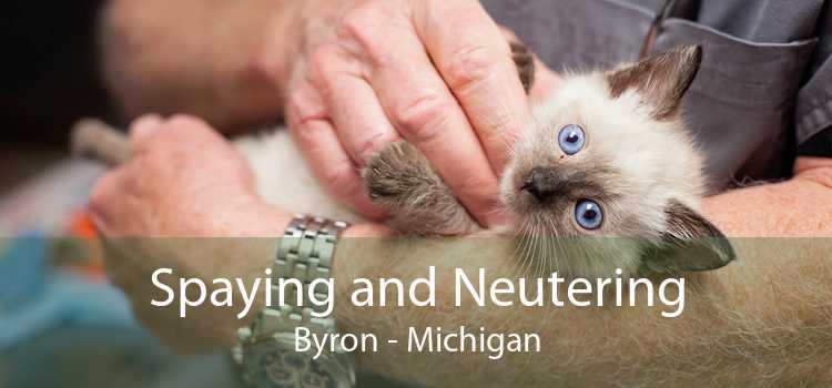 Spaying and Neutering Byron - Michigan