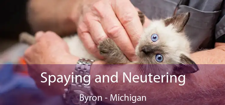 Spaying and Neutering Byron - Michigan