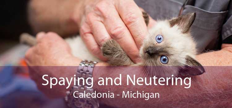 Spaying and Neutering Caledonia - Michigan