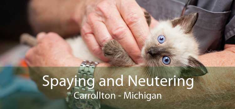 Spaying and Neutering Carrollton - Michigan