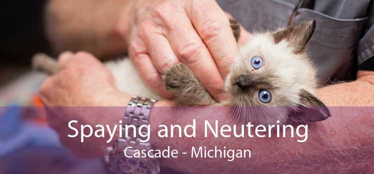 Spaying and Neutering Cascade - Michigan