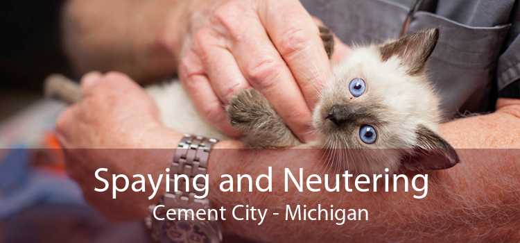 Spaying and Neutering Cement City - Michigan