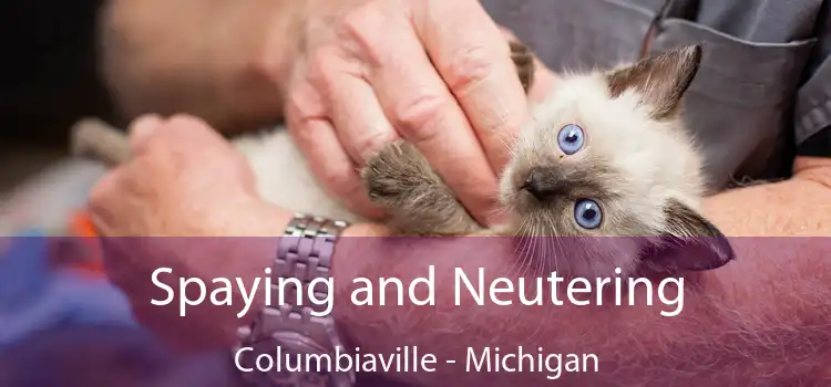 Spaying and Neutering Columbiaville - Michigan