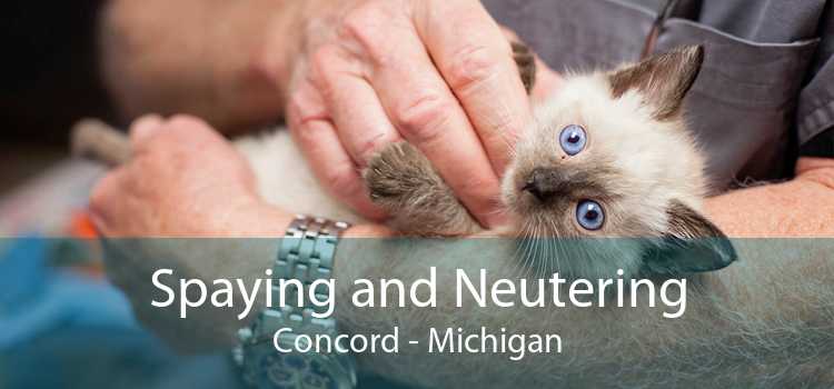 Spaying and Neutering Concord - Michigan