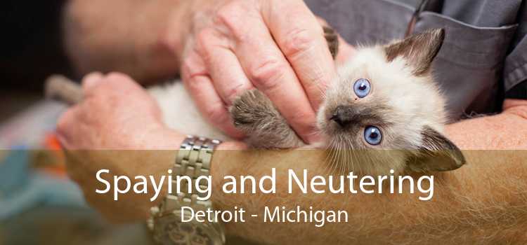 Spaying and Neutering Detroit - Michigan