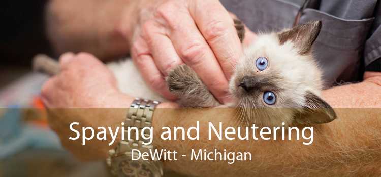 Spaying and Neutering DeWitt - Michigan