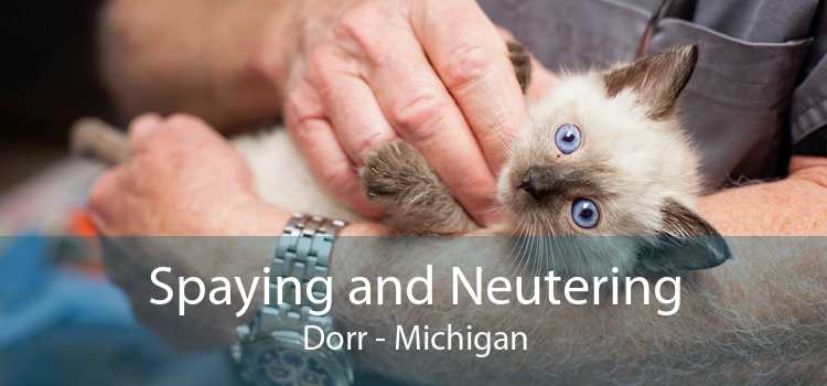 Spaying and Neutering Dorr - Michigan