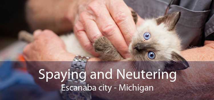 Spaying and Neutering Escanaba city - Michigan