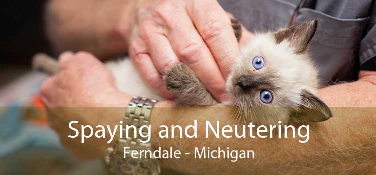 Spaying and Neutering Ferndale - Michigan