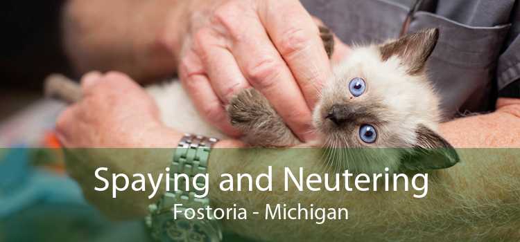 Spaying and Neutering Fostoria - Michigan